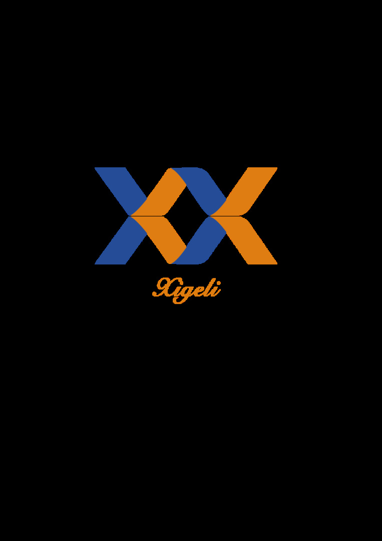FOSHAN XIGELI TRANSMISSION TECHNOLOGY CO LTD