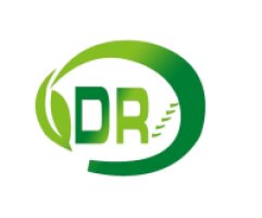 DONGREN NEW MATERIAL