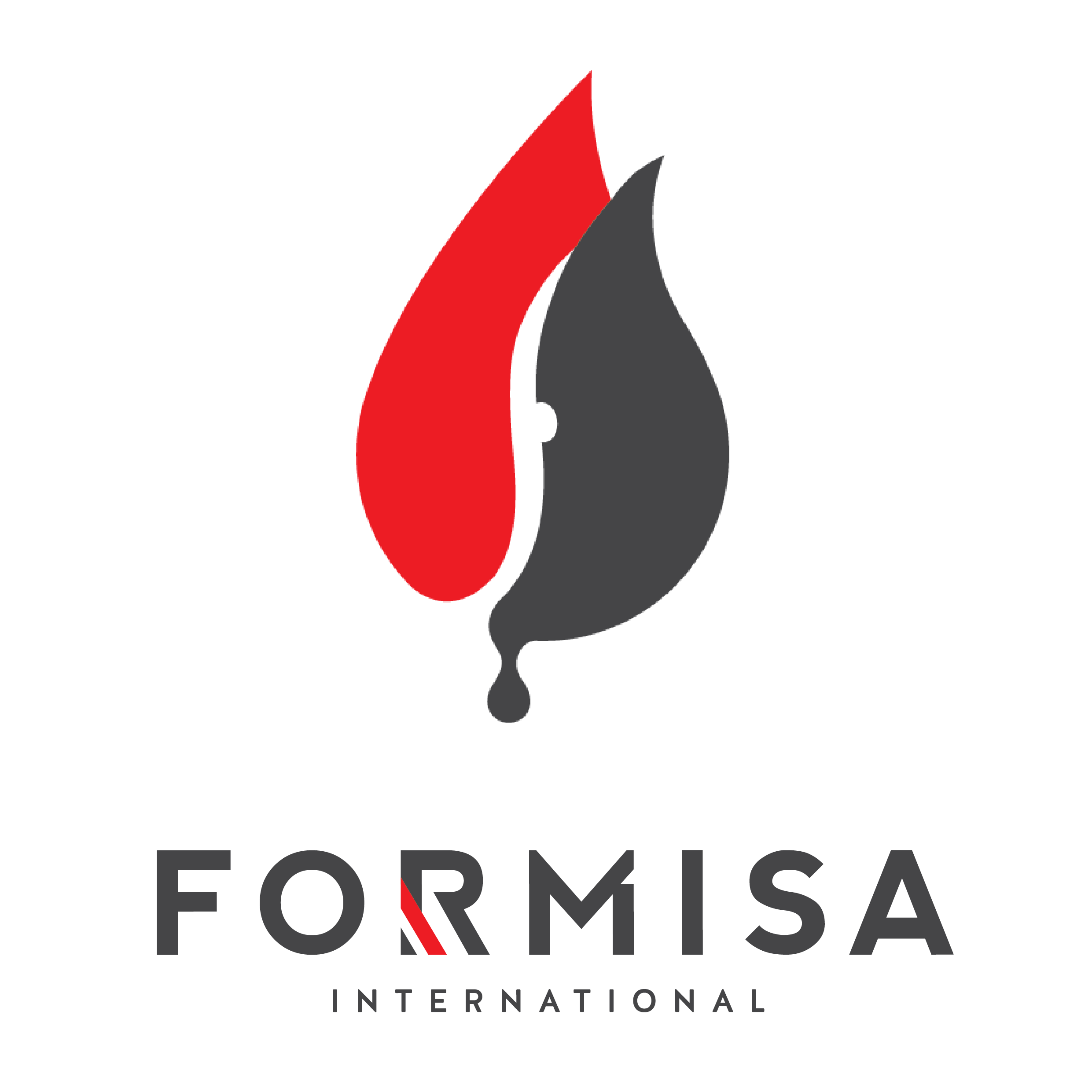 FORMISA INTERNATIONAL