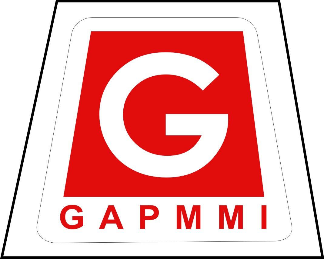 GAPMMI
