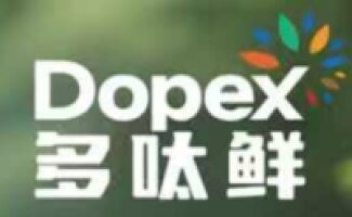 DOPEX (Chengdu) Technology Co., Ltd.