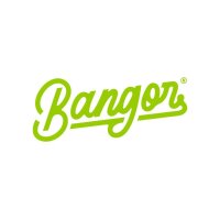 Burger Bangor
