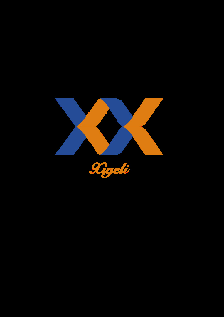 FOSHAN XIGELI TRANSMISSION TECHNOLOGY CO LTD