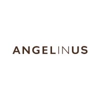 ANGEL-IN -US