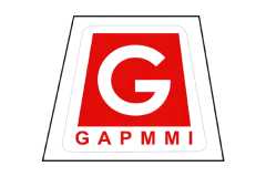 GAPMMI