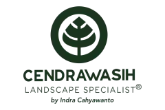 Cendrawasih