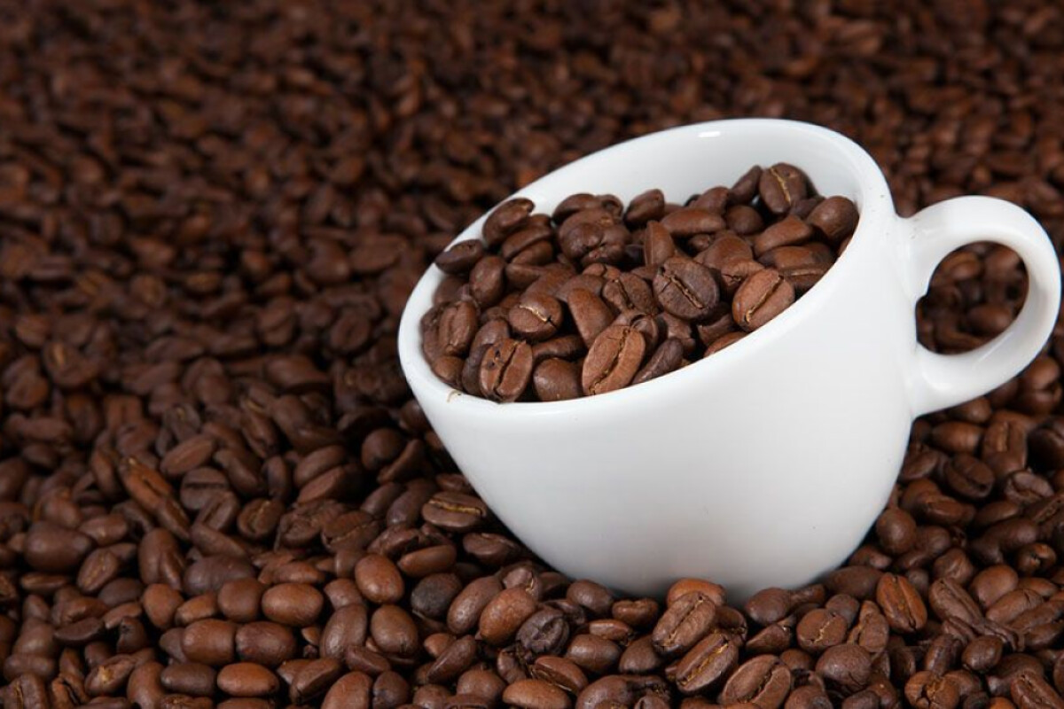 Fakta Unik tentang Kopi yang Mungkin Belum Kamu Ketahui