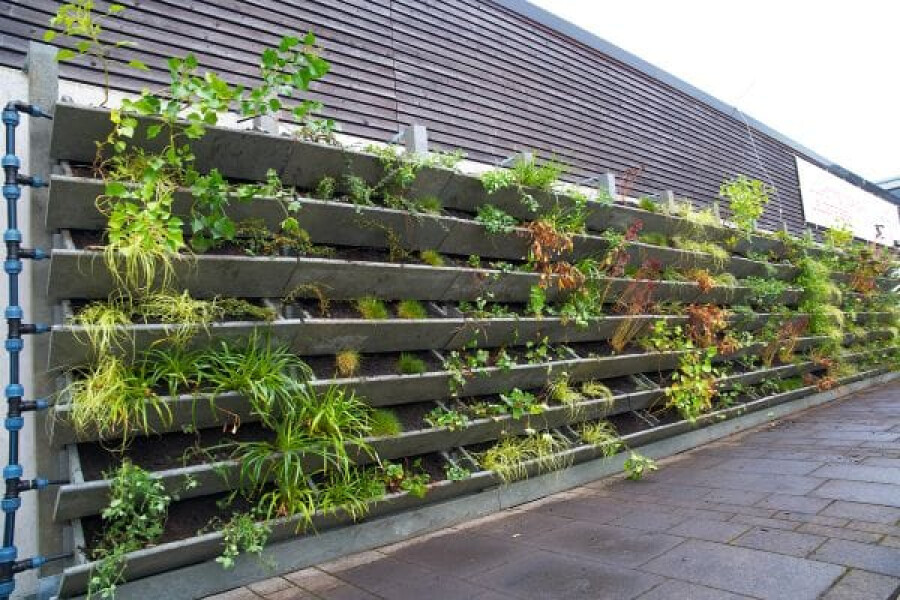 5 Manfaat Vertical Garden untuk Rumah Hijau yang Nyaman