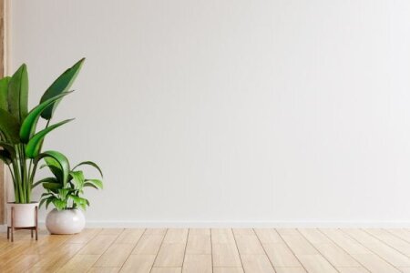 10 Ide Desain Interior Dinding Ruang Tamu Minimalis dan Cozy