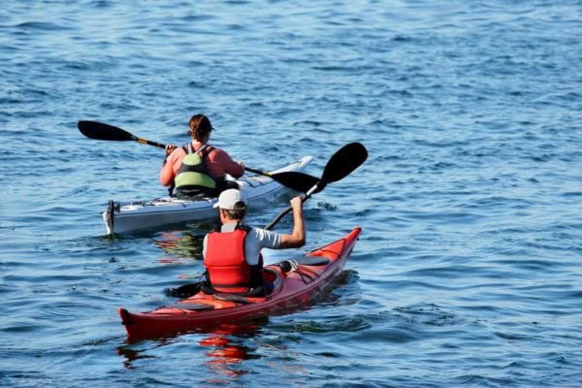 Apa Perbedaan Outing, Outbound dan Gathering?