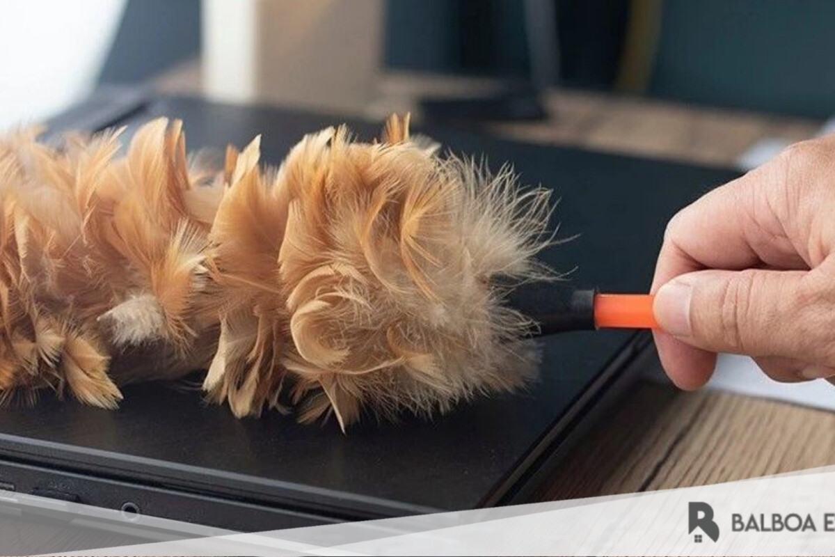 Tips Merawat Rumah agar Terhindar dari Debu