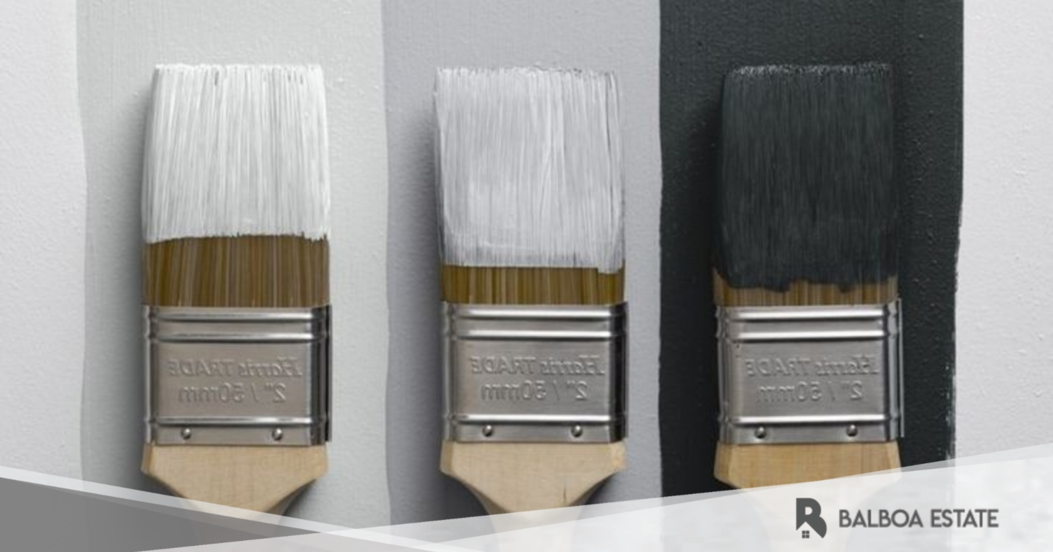 10 Merk Cat Dinding Ternama Yang Bisa Kamu Jadikan Opsi Di Rumah