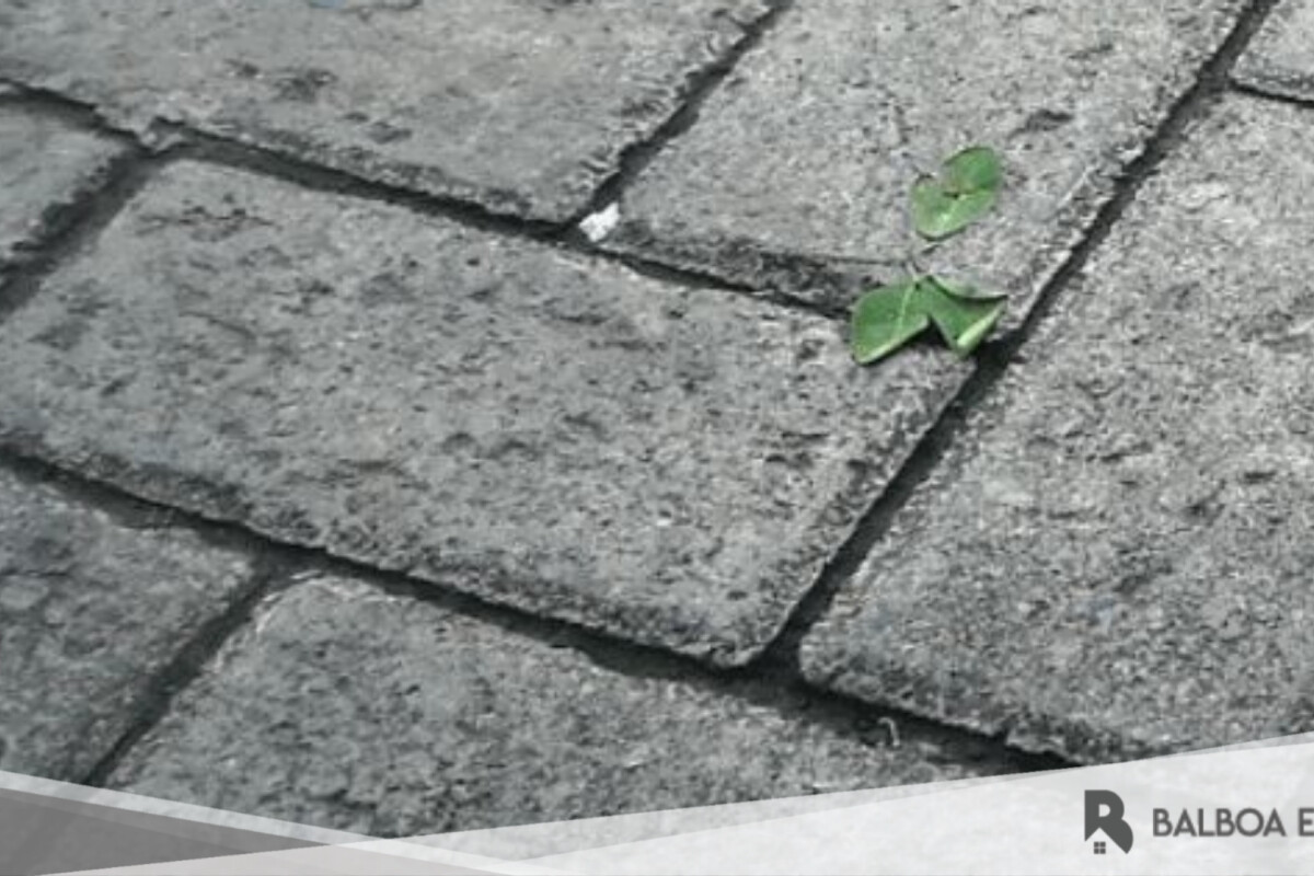 Kegunaan Paving Block untuk Perumahan