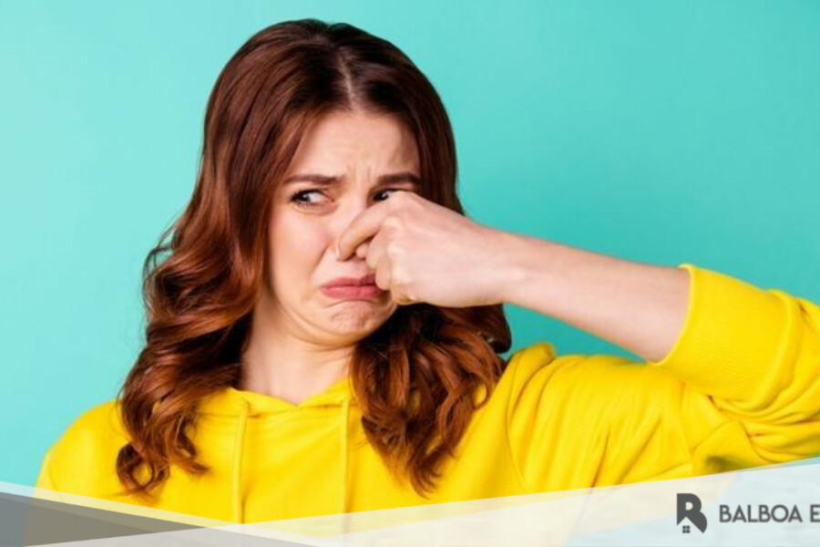 Berbagai Cara Menghilangkan Bau Tidak Sedap di Rumah