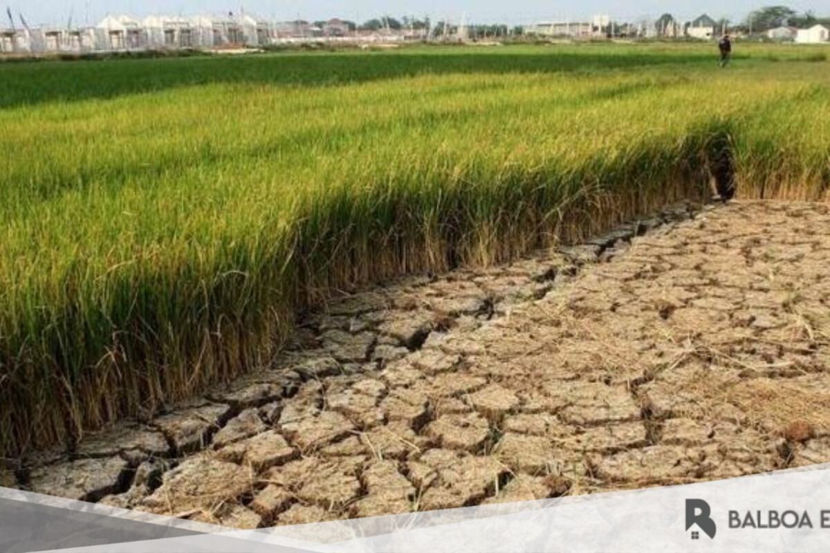 10 Persiapan yang Harus Dilakukan Di Rumah untuk Menghadapi Musim Kemarau