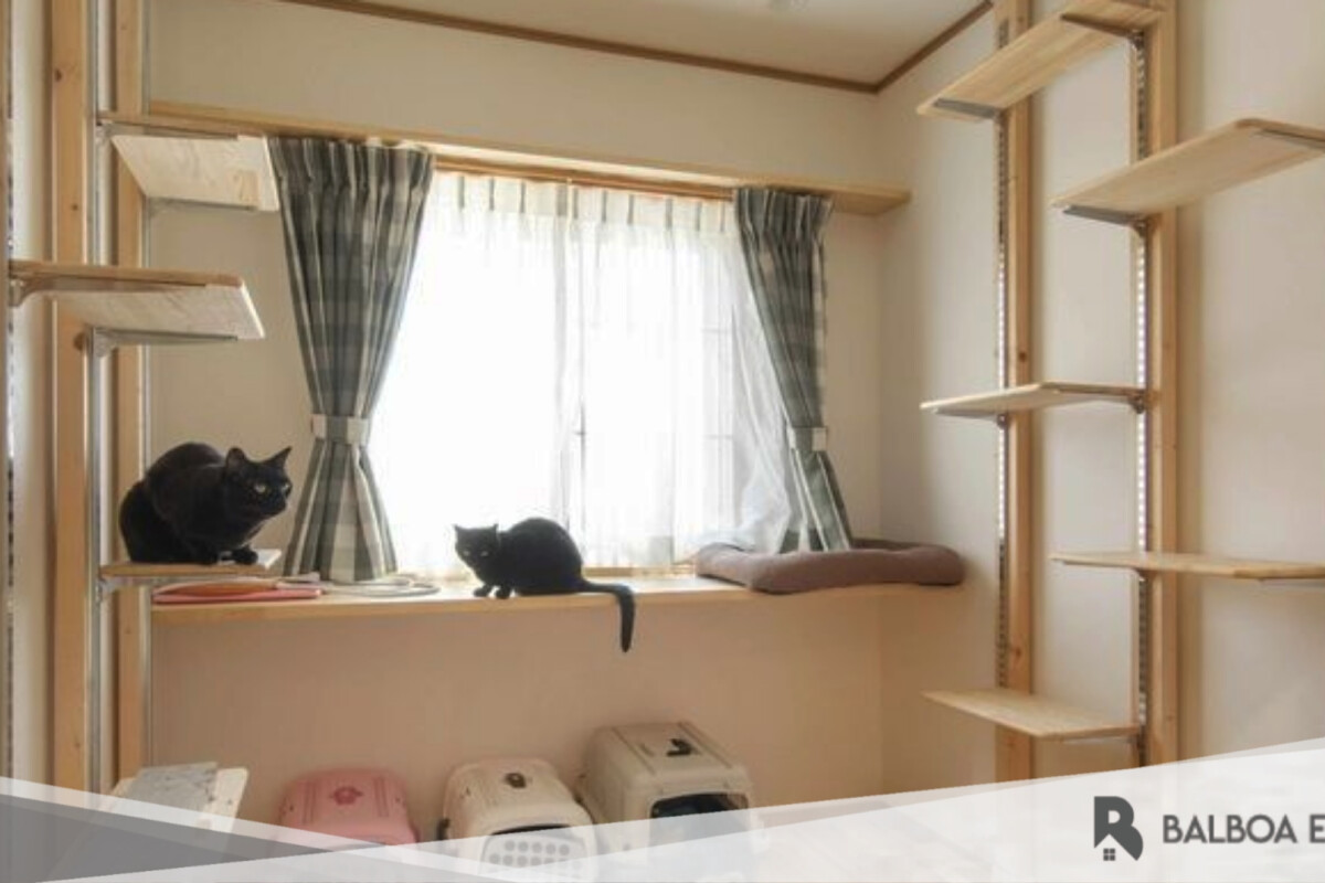 Tips Merawat Rumah yang ditempati oleh Hewan Peliharaan