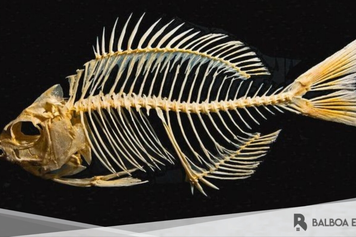 Sudah Membuang Bangkai Hewan Tapi Masih Bau? Berikut Solusinya!