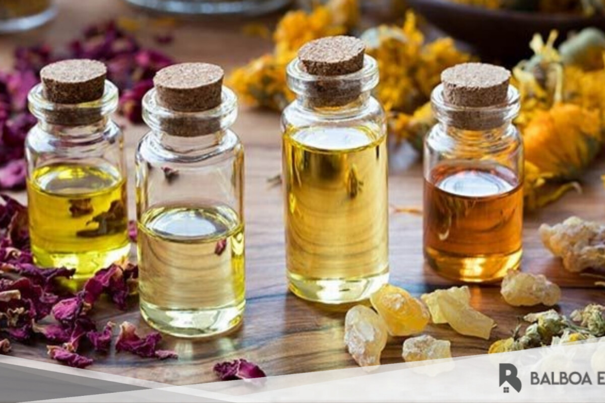 15 jenis Pengharum Ruangan Alami