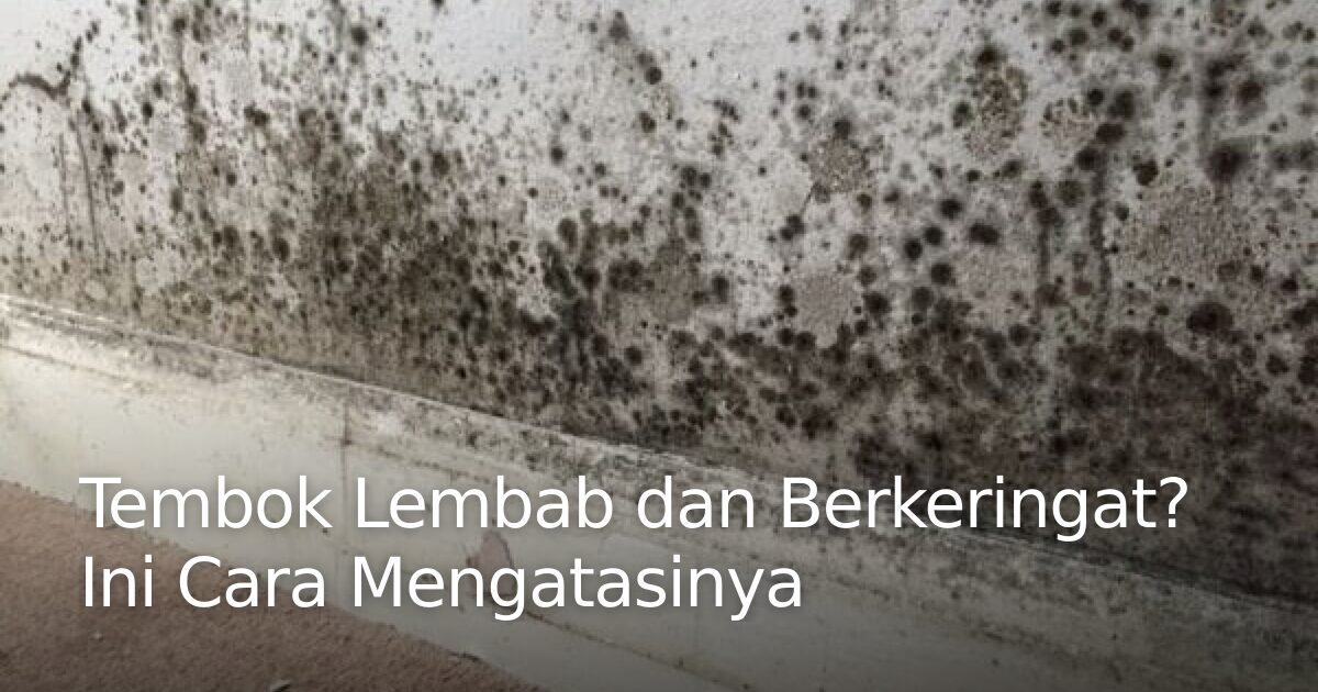 Tembok Lembab dan Berkeringat? Ini Cara Mengatasinya · Panorama Events