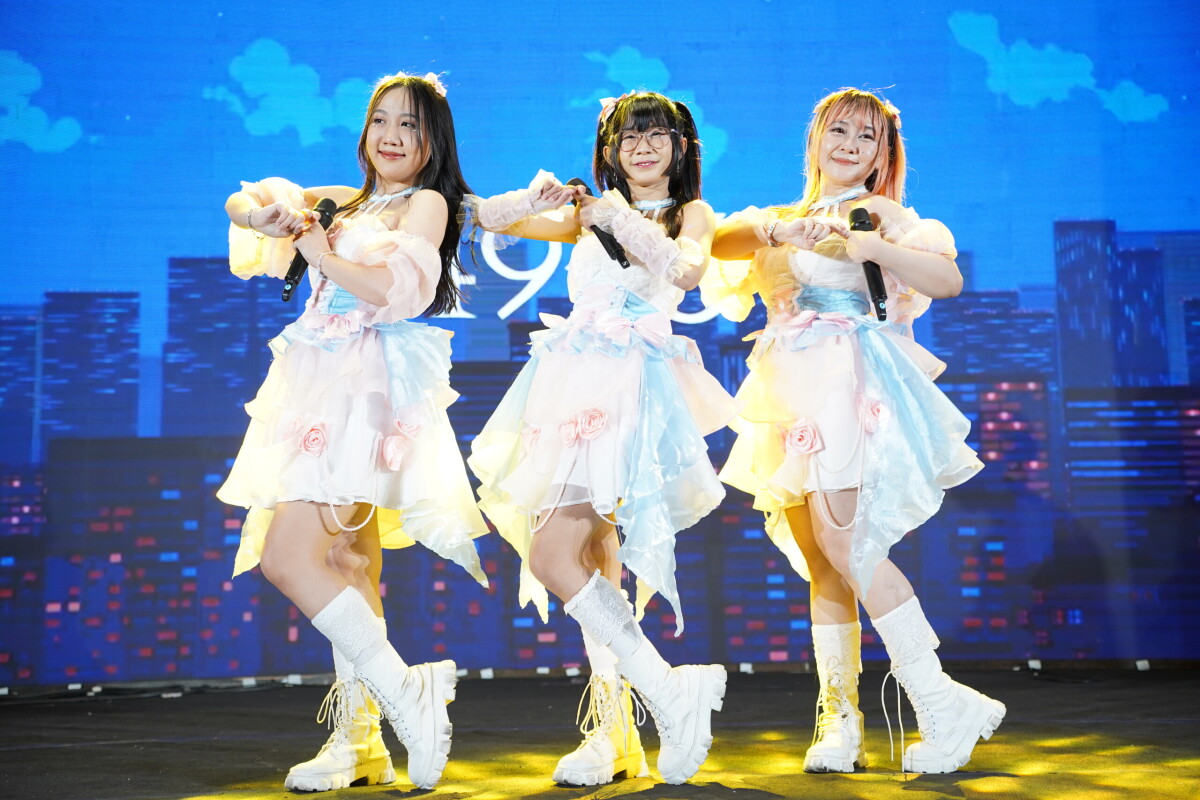 Live Performance