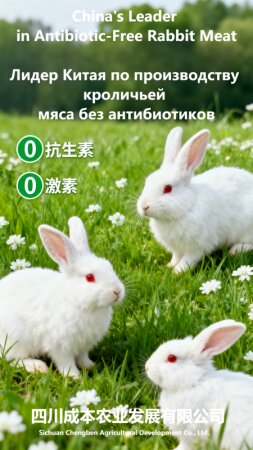 产品-1