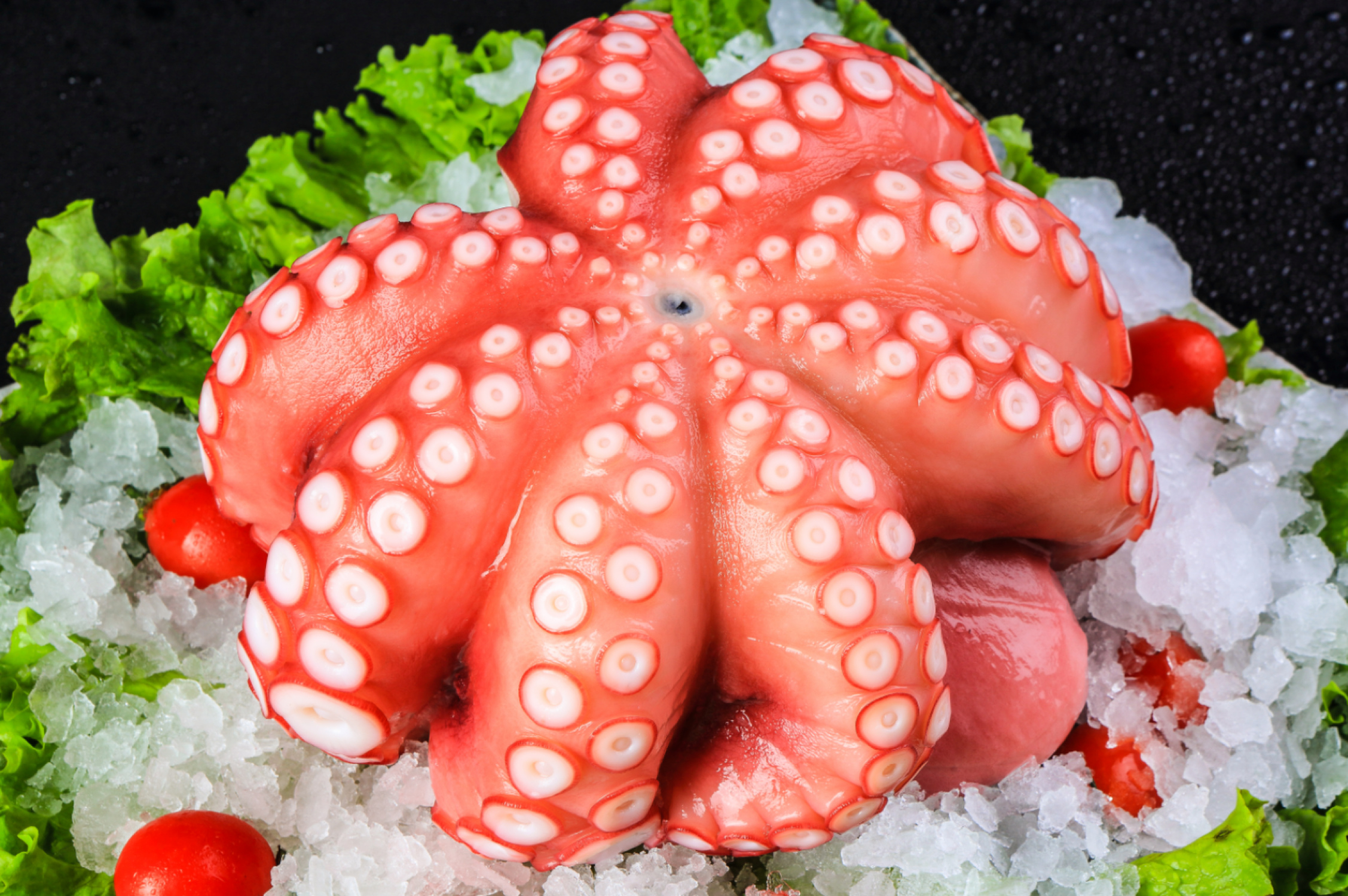 8982d9e065dfa7c8167096148eea3d04