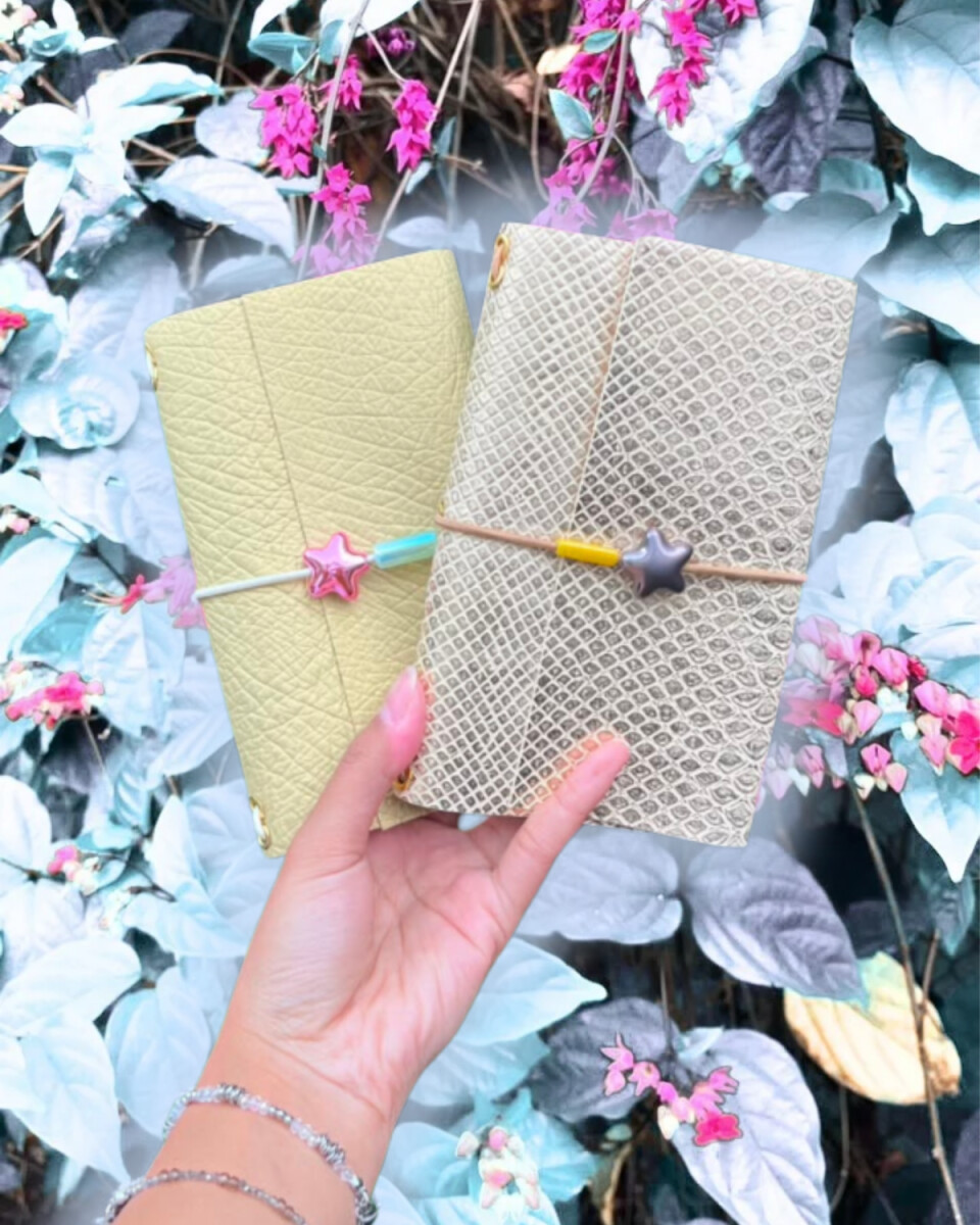 Ruchie Journal